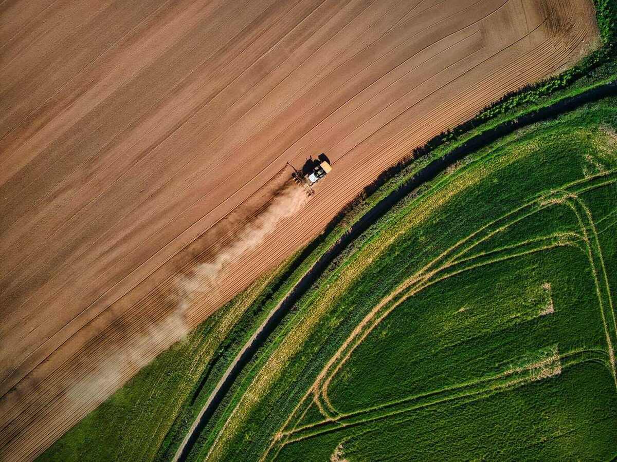 Paisagem rural brasileira ao entardecer